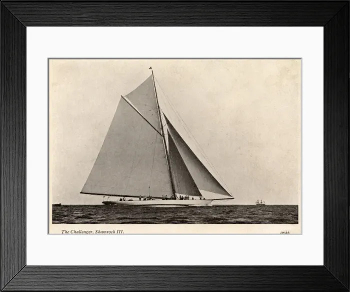 Framed Print : The Challenger, Shamrock III Framed Print : The Challenger, Shamrock III