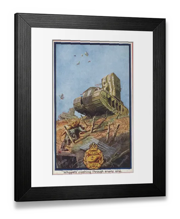Framed Print : WW1 - Whippet Tanks crash through enemy German wire Framed Print : WW1 - Whippet Tanks crash through enemy German wire
