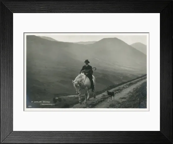 Framed Print : A Lakeland Shepherd on horseback carrying a sick ewe Framed Print : A Lakeland Shepherd on horseback carrying a sick ewe