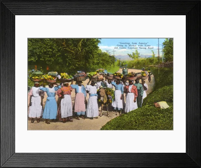 Framed Print : Yams & Canes taken to market - Constant Spring Road, Jamaica Framed Print : Yams & Canes taken to market - Constant Spring Road, Jamaica
