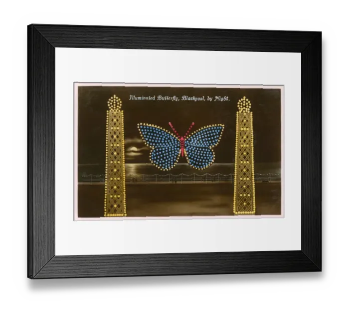 Framed Print : Blackpool, Lancashire - Illuminated Butterfly Framed Print : Blackpool, Lancashire - Illuminated Butterfly