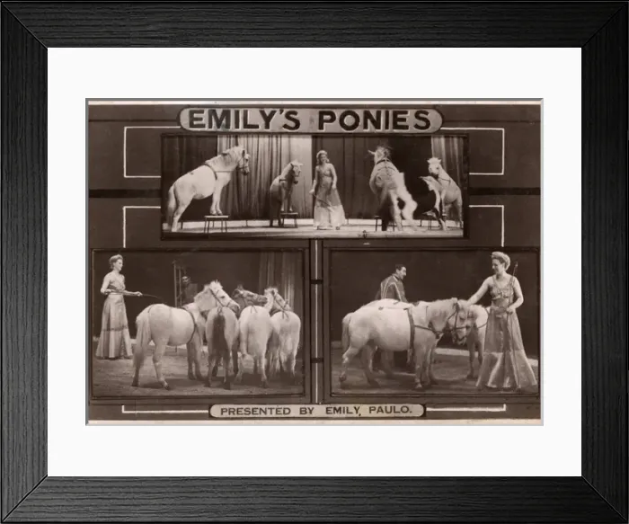 Framed Print : Emily Paulo and her Performing Ponies Framed Print : Emily Paulo and her Performing Ponies