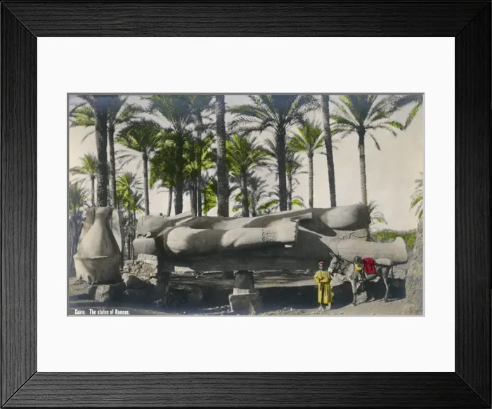 Framed Print : Fallen Statue of Rameses II ( The Great ), Cairo, Egypt Framed Print : Fallen Statue of Rameses II ( The Great ), Cairo, Egypt