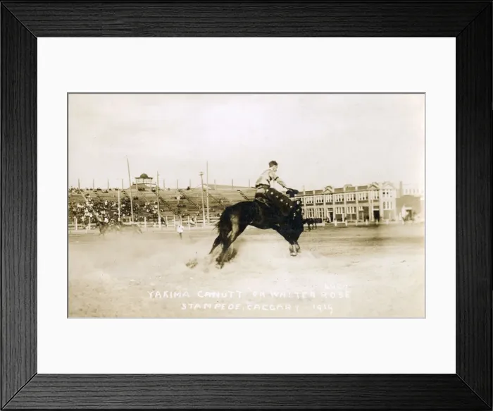 Framed Print : Y Canutt on Walter Rose during the Calgary Stampede Framed Print : Y Canutt on Walter Rose during the Calgary Stampede