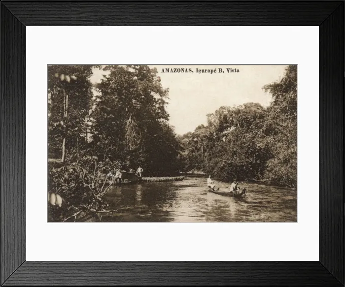 Framed Print : Amazonia, Brazil - Igarape near Boa Vista on the Branco Framed Print : Amazonia, Brazil - Igarape near Boa Vista on the Branco