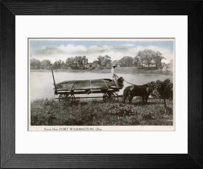 Framed Print : Catch of Giant Pike near Port Washington, Ohio, USA Framed Print : Catch of Giant Pike near Port Washington, Ohio, USA