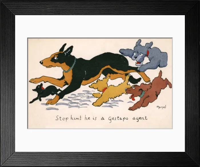 Framed Print : WW2 - German Dog hassled by French pooches Framed Print : WW2 - German Dog hassled by French pooches
