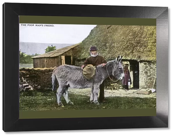 An Irish Country Man and his Donkey, Northern Ireland