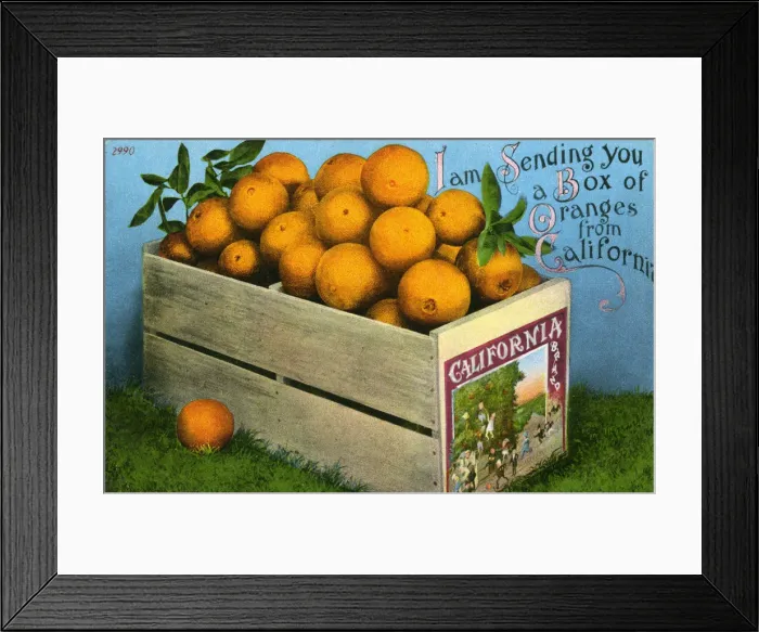 Framed Print : Box of Oranges from California Framed Print : Box of Oranges from California