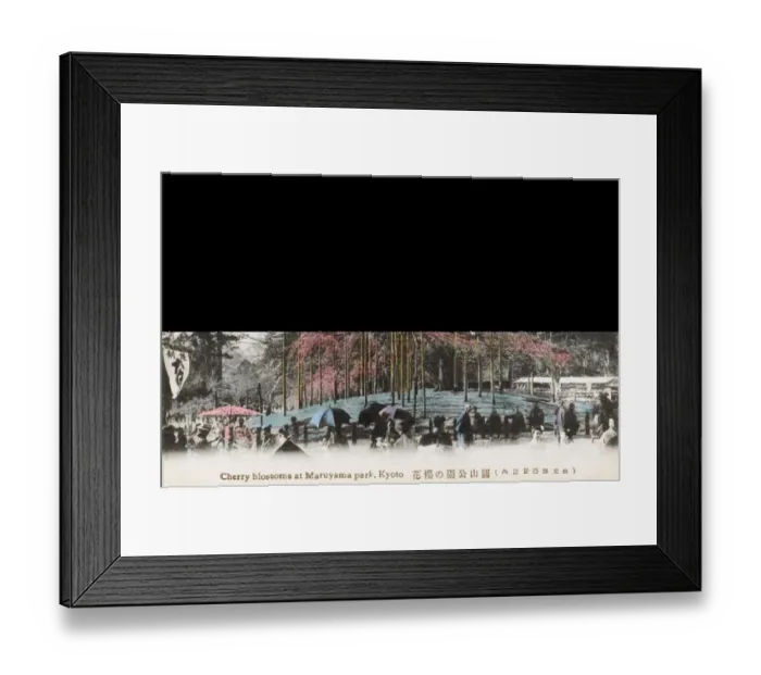 Framed Print : Japan - Cherry Blossoms in Maruyama Park, Kyoto Framed Print : Japan - Cherry Blossoms in Maruyama Park, Kyoto