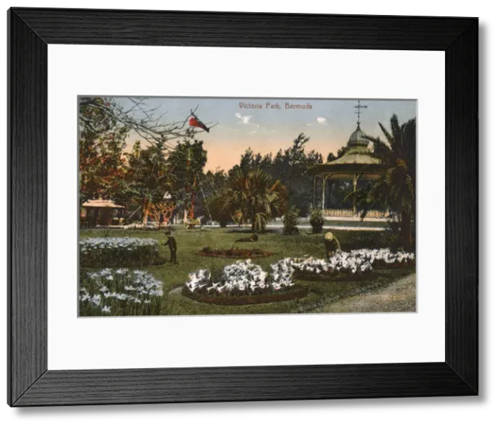 Framed Print : Victoria Park, Hamilton, Bermuda Framed Print : Victoria Park, Hamilton, Bermuda