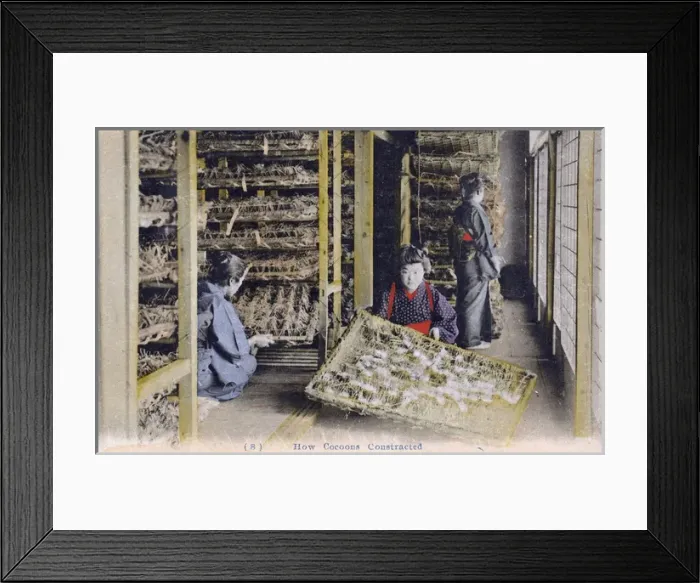 Framed Print : Japanese Silk Industry - Storing the Cocoons Framed Print : Japanese Silk Industry - Storing the Cocoons