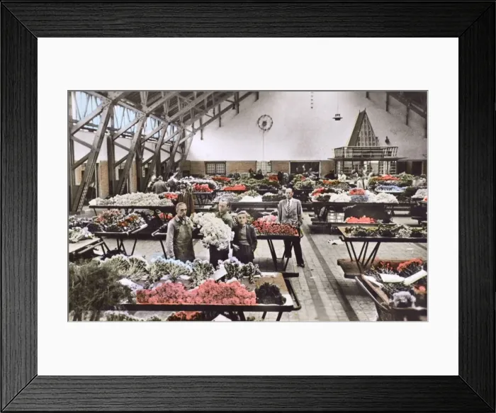 Framed Print : Cut flowers in Dutch Auction Hall Bloemenlust at Aalsmeer Framed Print : Cut flowers in Dutch Auction Hall Bloemenlust at Aalsmeer