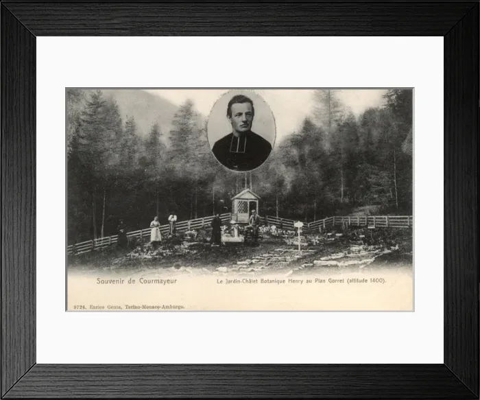 Framed Print : Courmayeur, Italy - The Botanical Garden of Framed Print : Courmayeur, Italy - The Botanical Garden of