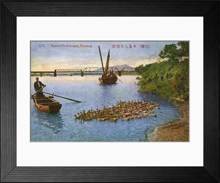 Framed Print : Taiwan (Formosa) - Native Duck Keeper herding his flock Framed Print : Taiwan (Formosa) - Native Duck Keeper herding his flock
