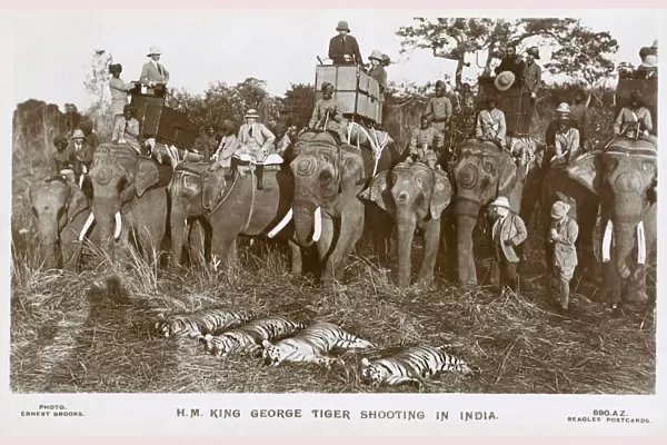 King George V shooting Tigers in India from a howdah