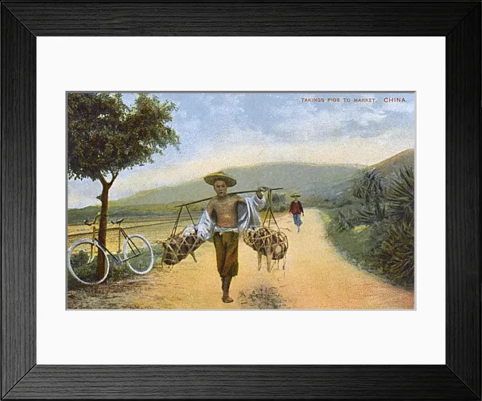 Framed Print : Carrying pigs to market - China Framed Print : Carrying pigs to market - China