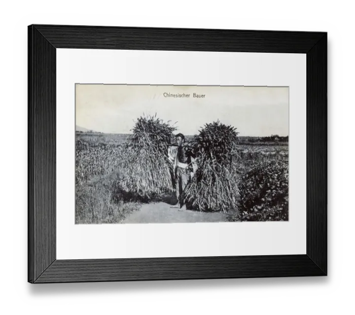 Framed Print : China - Chinese Farmer carrying two large bundles of a yolk Framed Print : China - Chinese Farmer carrying two large bundles of a yolk