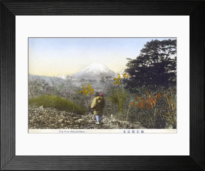 Framed Print : Mount Fuji, Japan - from Sengokubara Framed Print : Mount Fuji, Japan - from Sengokubara