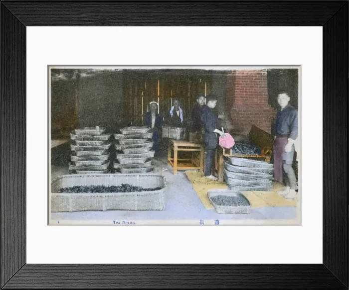Framed Print : Japan - Tea Industry - Tea Drying Framed Print : Japan - Tea Industry - Tea Drying