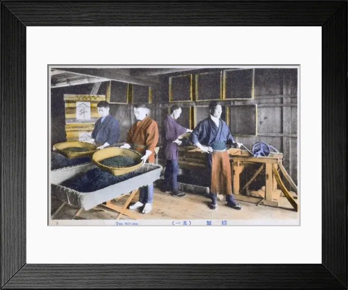 Framed Print : Japan - Tea Industry - Tea Sifting Framed Print : Japan - Tea Industry - Tea Sifting