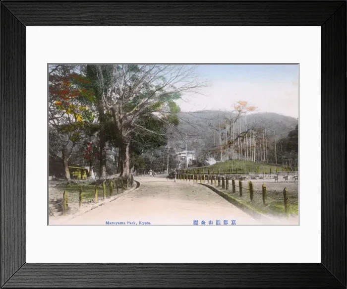 Framed Print : Kyoto, Japan - Maruyama Park Framed Print : Kyoto, Japan - Maruyama Park