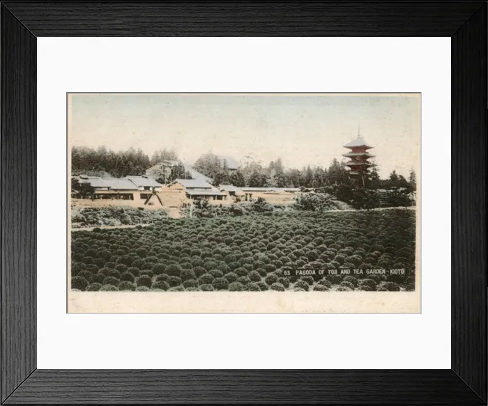 Framed Print : Kyoto, Japan - Pagoda of Toji and Tea Garden Framed Print : Kyoto, Japan - Pagoda of Toji and Tea Garden
