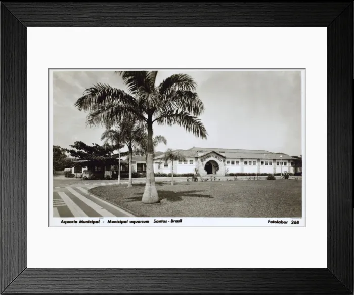 Framed Print : Santos, Brazil - The Municipal Aquarium Framed Print : Santos, Brazil - The Municipal Aquarium