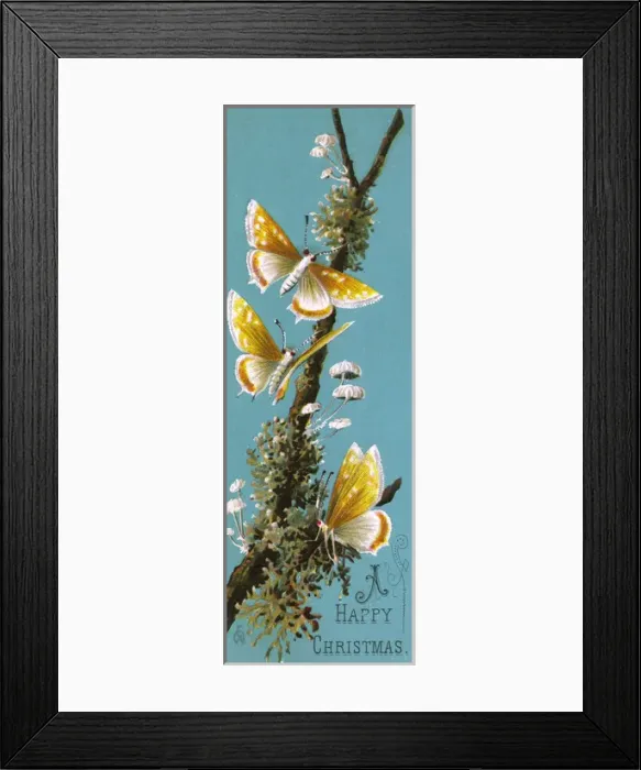 Framed Print : Christmas Greeting card featuring garden moths Framed Print : Christmas Greeting card featuring garden moths