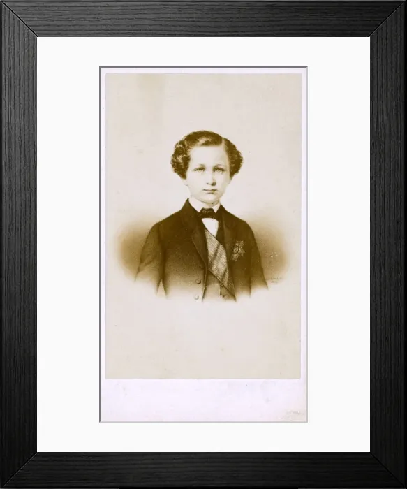 Framed Print : The Prince Imperial - The son of Napoleon III of France Framed Print : The Prince Imperial - The son of Napoleon III of France