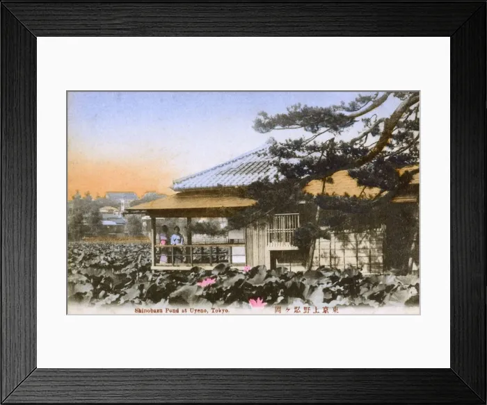 Framed Print : Lotuses in the Shinobazu Pond at Ueno Park, Tokyo, Japan Framed Print : Lotuses in the Shinobazu Pond at Ueno Park, Tokyo, Japan