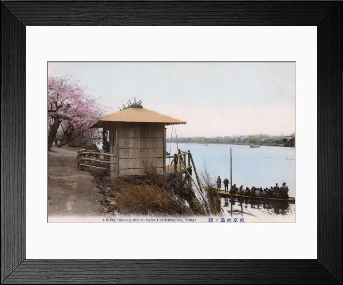 Framed Print : Tokyo, Japan - Cherry Blossom and River Ferryboat, Mukojima Framed Print : Tokyo, Japan - Cherry Blossom and River Ferryboat, Mukojima