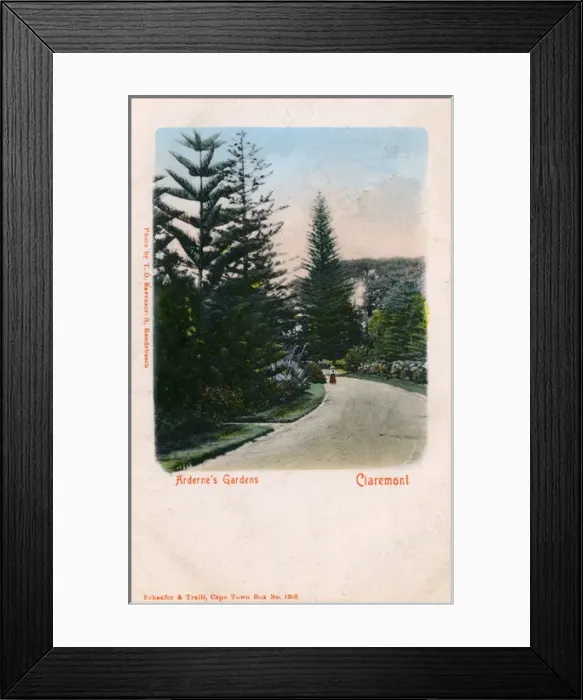 Framed Print : Ardernes Garden - Claremont, South Africa Framed Print : Ardernes Garden - Claremont, South Africa