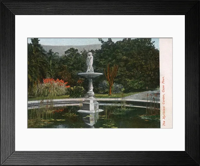 Framed Print : The Municipal Garden - Cape Town, South Africa Framed Print : The Municipal Garden - Cape Town, South Africa