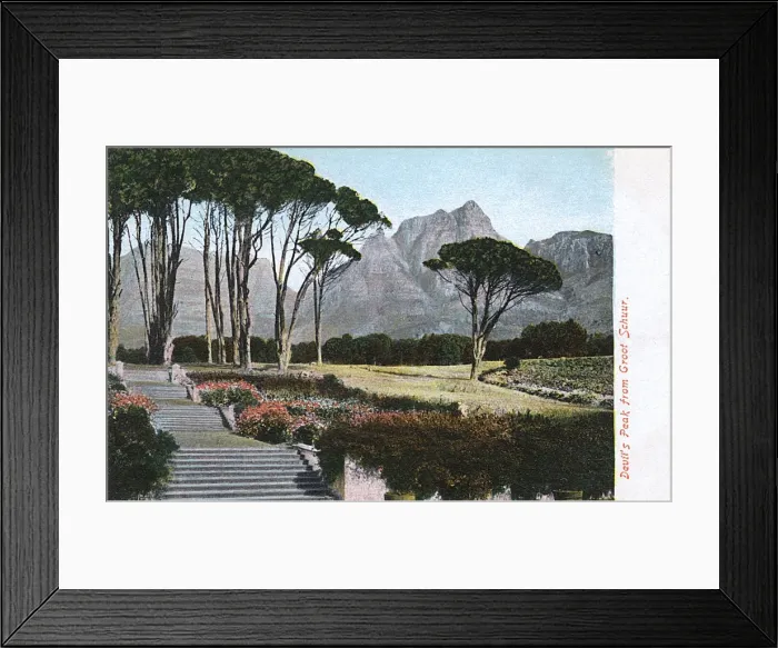 Framed Print : Devils Peak from the Gardens of Groot Schuur, Cape Town Framed Print : Devils Peak from the Gardens of Groot Schuur, Cape Town
