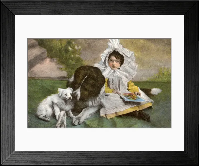 Framed Print : Kitch postcard of a Newfoundland dog and young rider Framed Print : Kitch postcard of a Newfoundland dog and young rider
