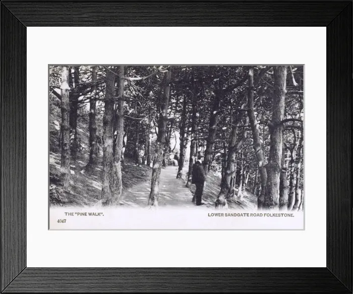 Framed Print : The Pine Walk - Lower Sandgate Road, Folkestone, Kent Framed Print : The Pine Walk - Lower Sandgate Road, Folkestone, Kent
