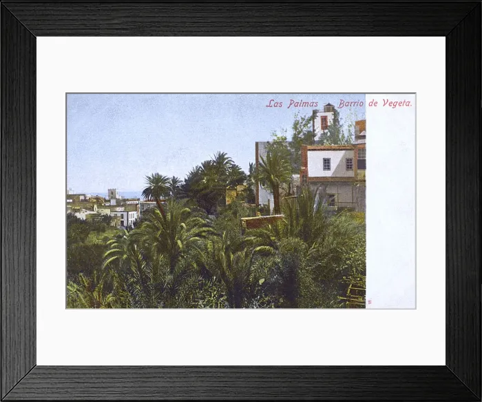 Framed Print : Canary Island, Gran Canaria, Las Palmas, District of Vegeta Framed Print : Canary Island, Gran Canaria, Las Palmas, District of Vegeta