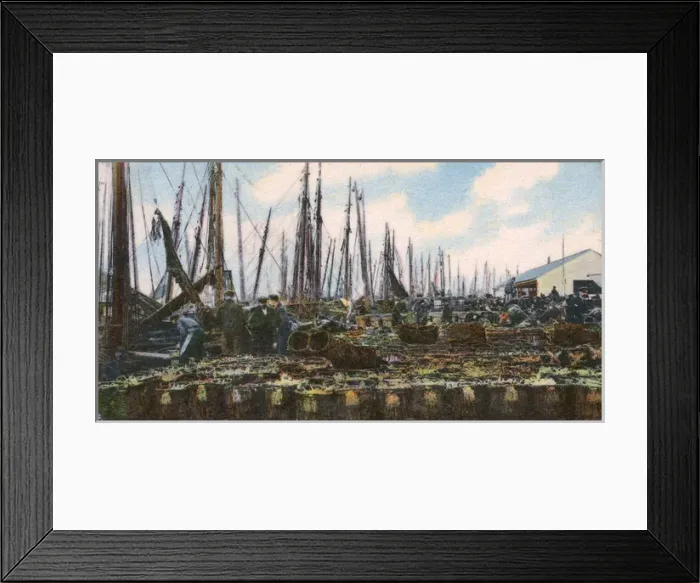 Framed Print : Great Yarmouth, Norfolk - Landing Herring at the harbour Framed Print : Great Yarmouth, Norfolk - Landing Herring at the harbour