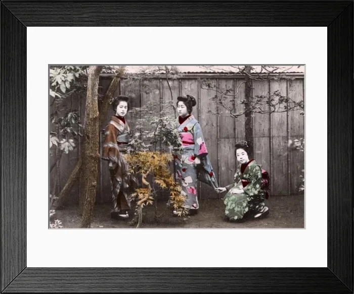 Framed Print : Japan - Three Geisha Girls posing in a flowerbed Framed Print : Japan - Three Geisha Girls posing in a flowerbed
