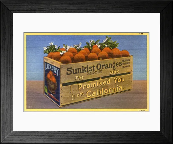 Framed Print : Californian Sunkst Oranges, USA Framed Print : Californian Sunkst Oranges, USA
