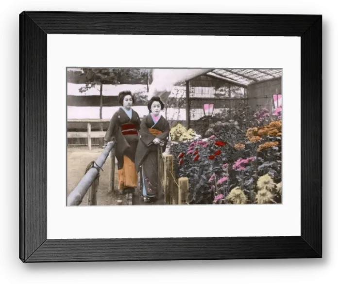 Framed Print : Two Japanese Geisha in a garden with colourful blooms Framed Print : Two Japanese Geisha in a garden with colourful blooms