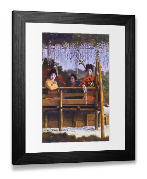 Framed Print : Three Japanese Geisha girls in a Wisteria Garden Framed Print : Three Japanese Geisha girls in a Wisteria Garden