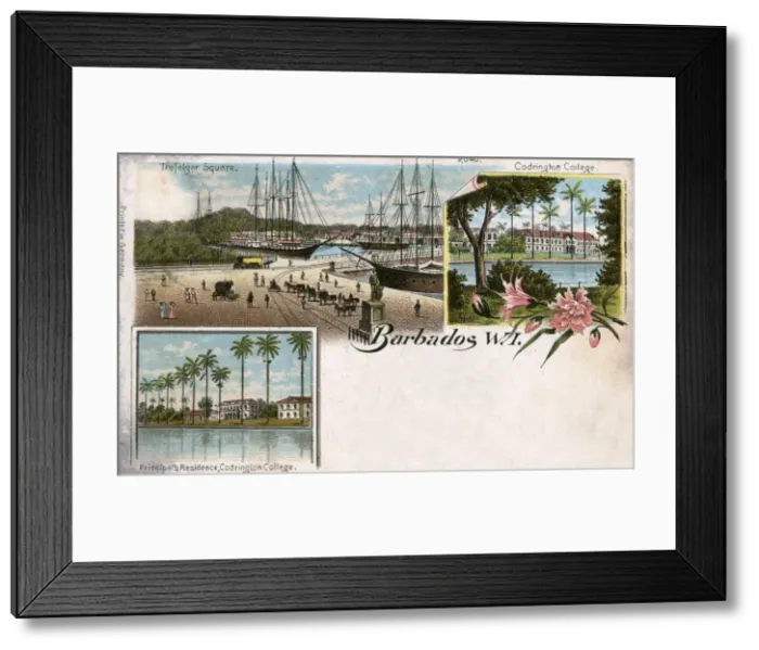Framed Print : Codrington College, Trafalgar Square, Barbados, West Indies Framed Print : Codrington College, Trafalgar Square, Barbados, West Indies