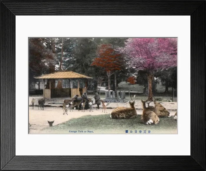 Framed Print : Shinto Kasuga Shrine at Nara, Japan - The Deer Park Framed Print : Shinto Kasuga Shrine at Nara, Japan - The Deer Park