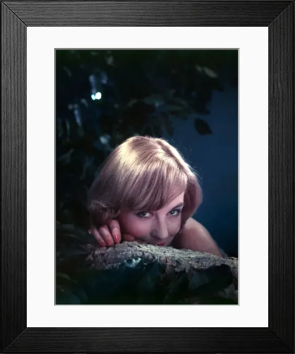 Framed Print : Advertisement for Nivea shampoo Framed Print : Advertisement for Nivea shampoo