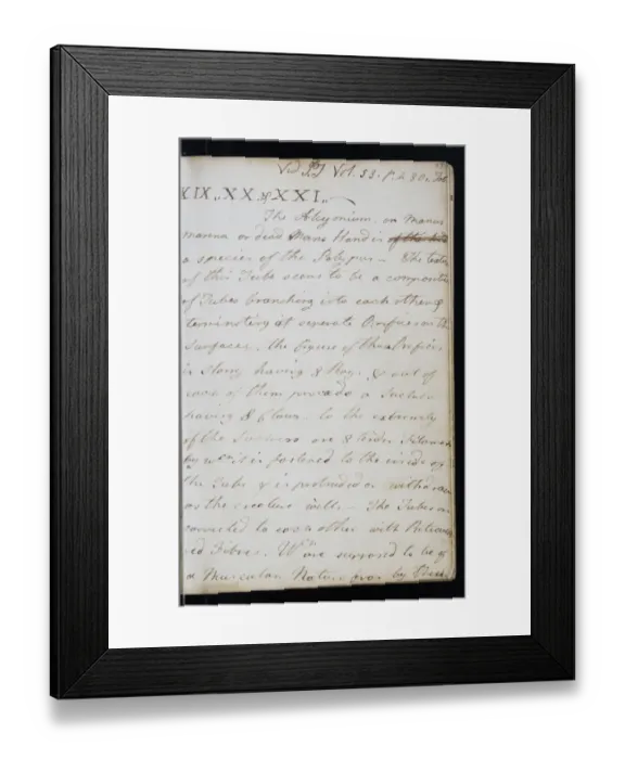 Framed Print : Page from the original notebook of George Cayley Framed Print : Page from the original notebook of George Cayley