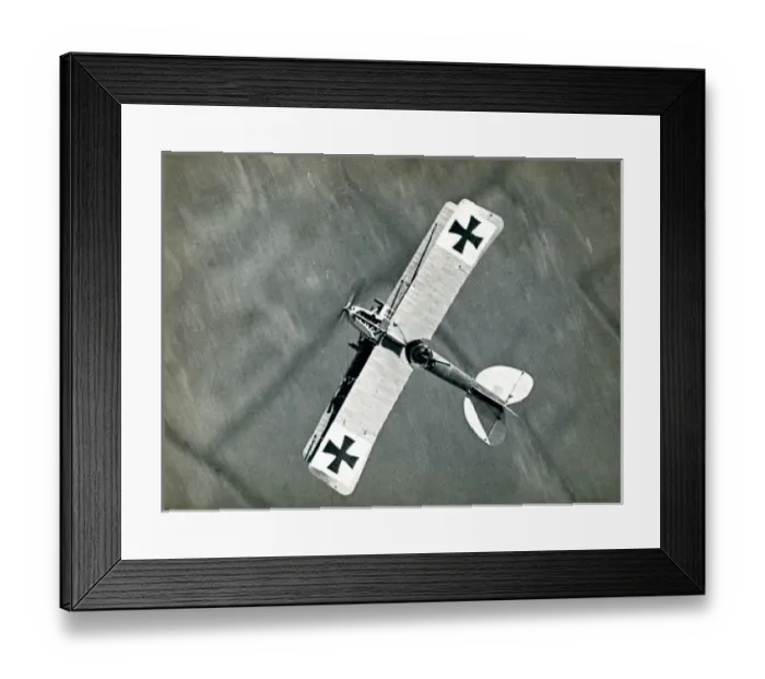 Framed Print : Albatros CIII Framed Print : Albatros CIII