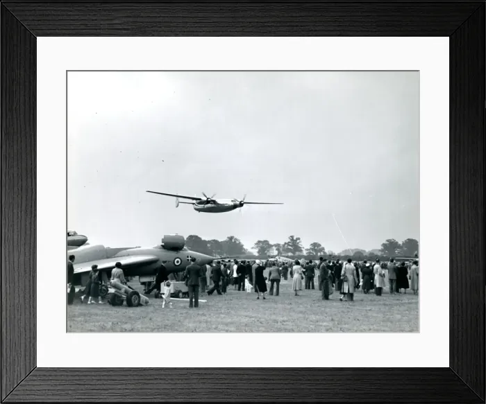 Framed Print : Airspeed Ambassador, G-AMAB, Sir Francis Bacon, of BEA f? Framed Print : Airspeed Ambassador, G-AMAB, Sir Francis Bacon, of BEA f?