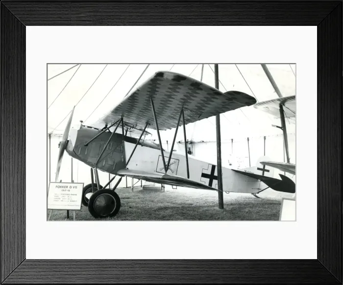 Framed Print : The 1917 Fokker DVII of the Nash Collection inside the m?